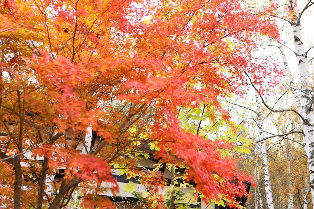 Hotel Konashi No Yu Sasaya Matsumoto Zewnętrze zdjęcie